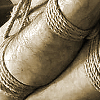 bondage cordes shibari