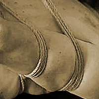 bondage cordes shibari