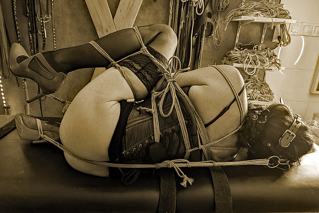 talon aiguilles, corset serré, harnais de tête